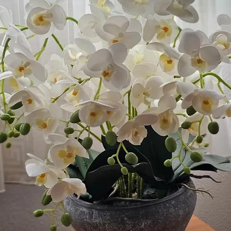 Bed & Breakfast Sobe/rooms Riva Zadar