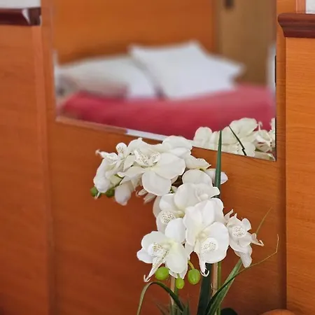Sobe/rooms Riva B&B