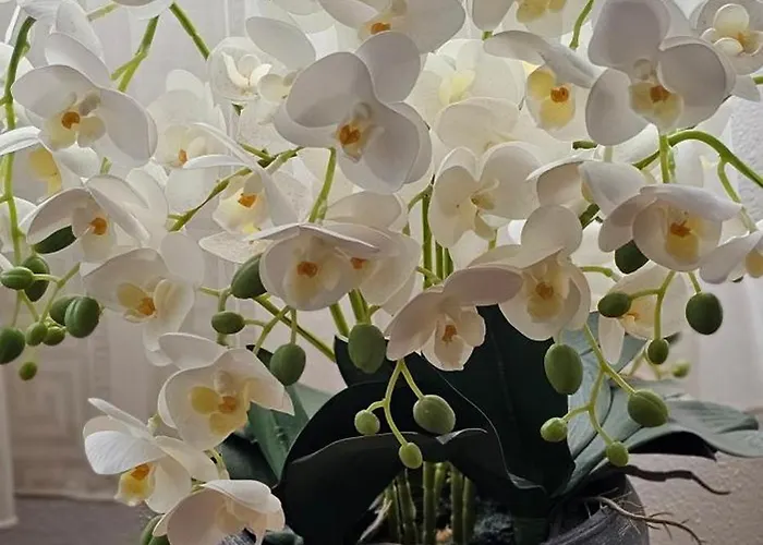 krevet i doručak Sobe/rooms Riva Zadar