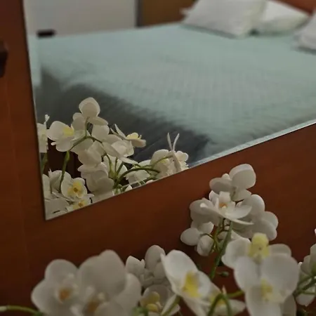 Sobe/rooms Riva 3*