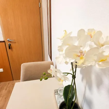 Sobe/rooms Riva Bed & Breakfast 3*