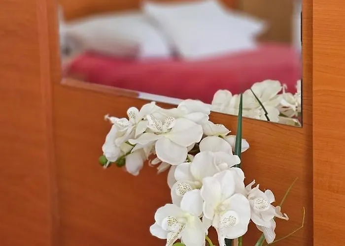 Sobe/rooms Riva Bed & Breakfast